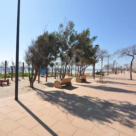 Rnet - Mileni 27 * רוזס